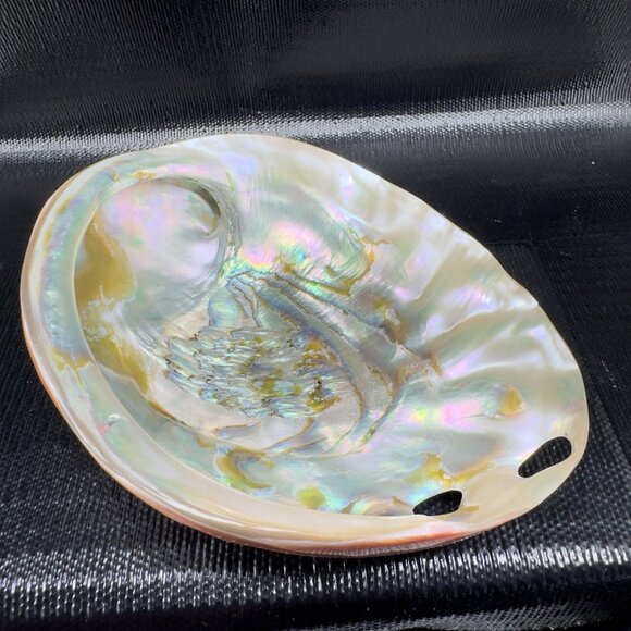 Natural Abalone Shell Large Dish Bowl Container Trinket Holder Iridescent Smooth - Picture 1 of 16